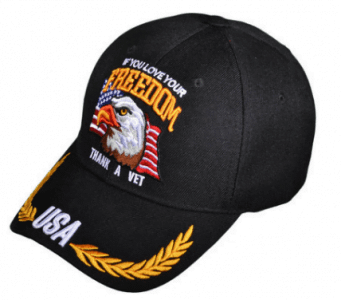 patriots veterans hat